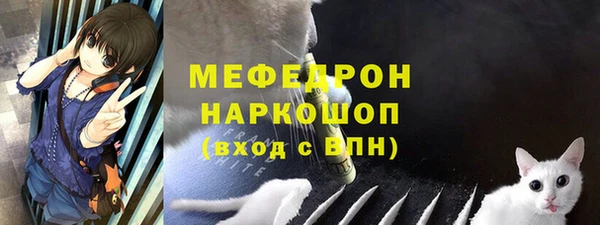 индика Балахна