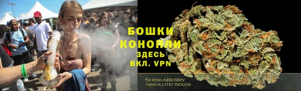 индика Балахна
